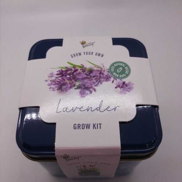 NWT Buzzy Lavender Grow Kit Seeds and Tin - Picture 2 of 3